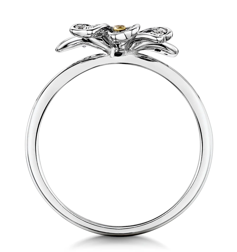 Blue Sapphire Yellow Sapphire and Diamond Stellato Ring 9K White Gold - Image 3