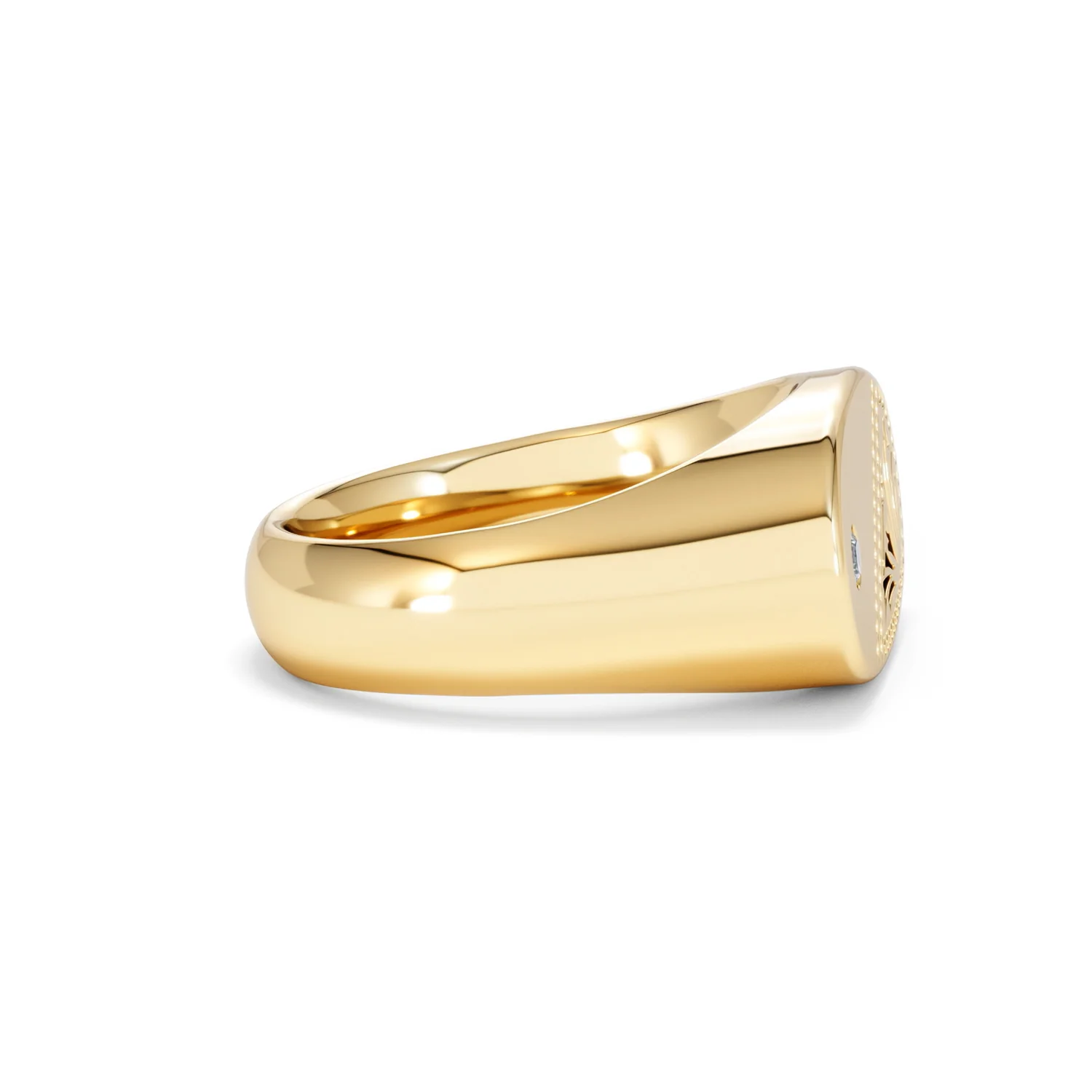 Crest 0.03ct Lab Diamond Men's Oblong Signet Ring in 18K Yellow Gold Vermeil - Image 26