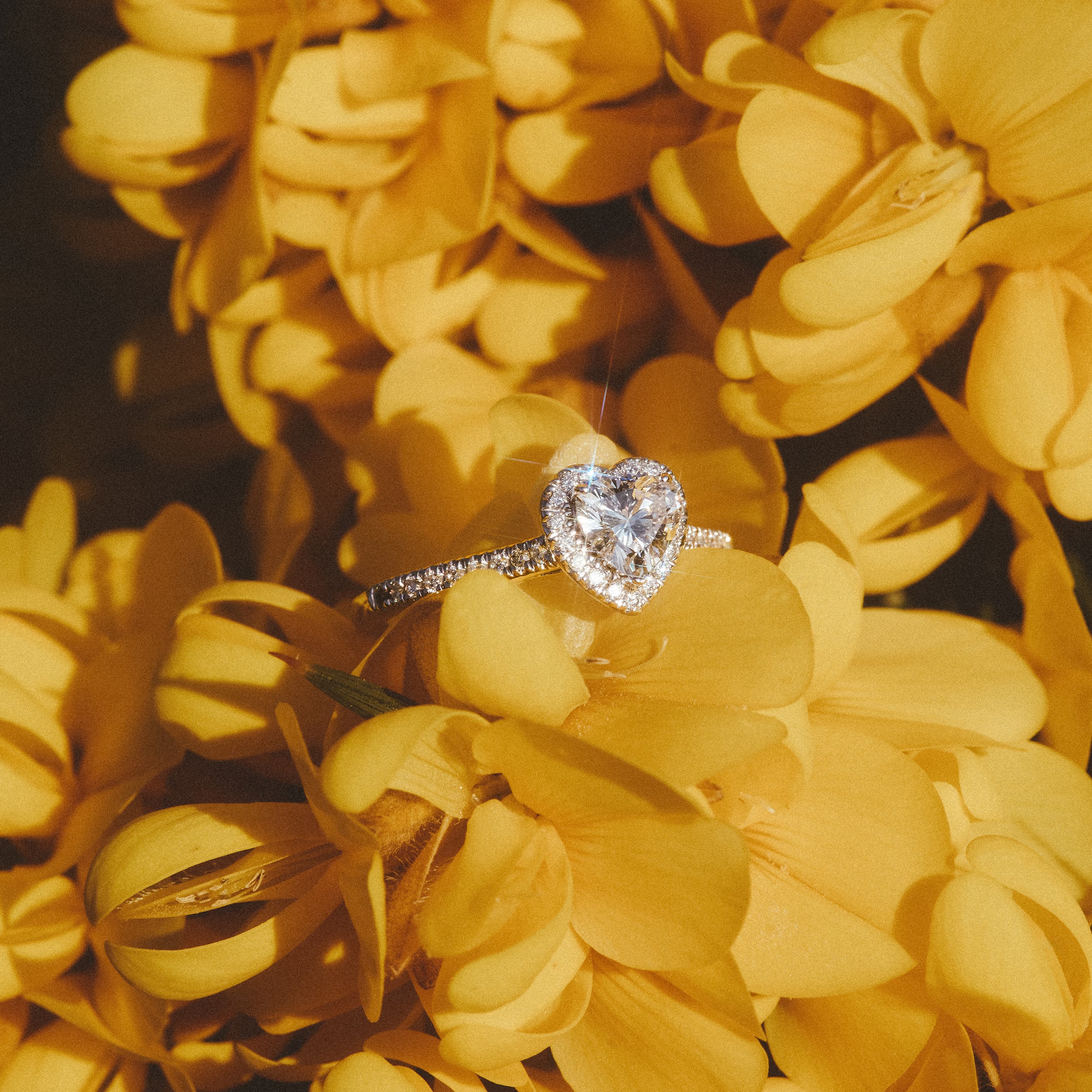 Lumia Heart Cut Lab Diamond Halo Ring 0.70ct F/VS in 9K White Gold - Image 8